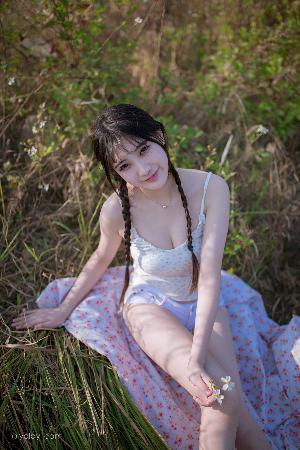 菠萝视频高清免费观看电视剧